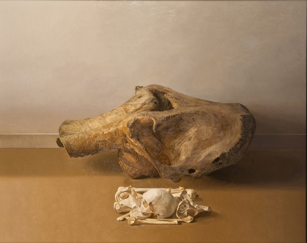 Hiroshi Noda : TOKIJIKU XX   Mammoth