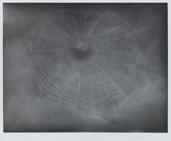 Vija Celmins : Untitled (Web3）
