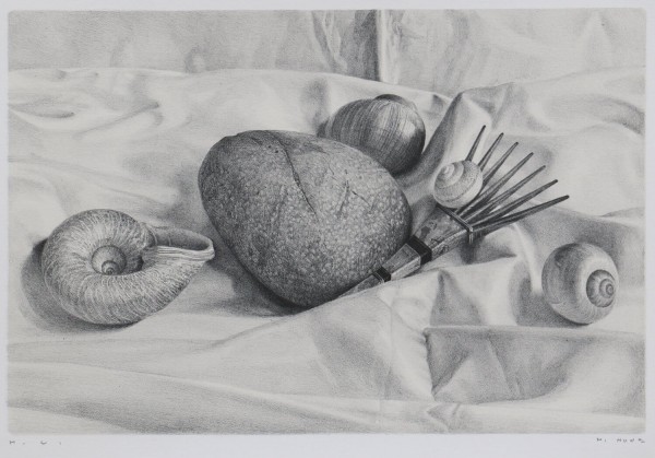 Hiroshi Noda : Still Life with a Shell