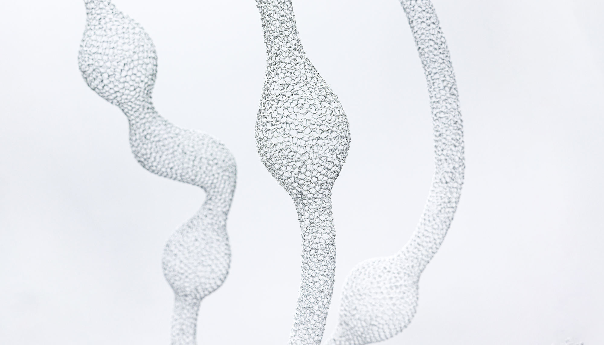 線と脈　Lines and a Vein